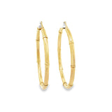 10K Gold Earring Hoops