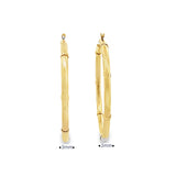 10K Gold Earring Hoops
