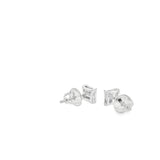 Boucles d'oreilles à tige carrées en argent 925S - Lion