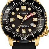 Promaster Dive Citizen BN0152-06E
