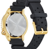 Promaster Dive Citizen BN0152-06E