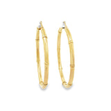10K Gold Earring Hoops
