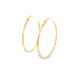 10K 3 Tone Gold Earring Hoops 40mm