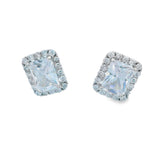 Radiant Silver 925S Stud Earrings -Ravin