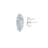 Radiant Silver 925S Stud Earrings -Ravin