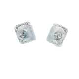Radiant Silver 925S Stud Earrings -Ravin