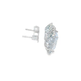 Radiant Silver 925S Stud Earrings -Ravin
