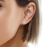 Radiant Silver 925S Stud Earrings -Ravin
