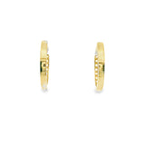 10k Gold Small Hoop Earrings - Cioara