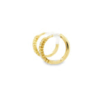 10k Gold Small Hoop Earrings - Nema