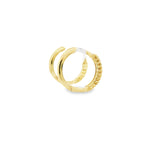 10k Gold Small Hoop Earrings - Nema