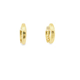 10k Gold Small Hoop Earrings - Nema