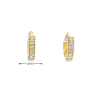 10k Gold Small Hoop Earrings - Nema
