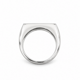 Personalized Family Ring - Prism Signet