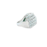 Men 925 Silver Rhodium Ring-Pierre