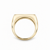 Personalized Family Ring - Prism Signet