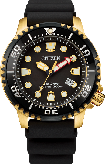 Professional Citizen BN0152-06E