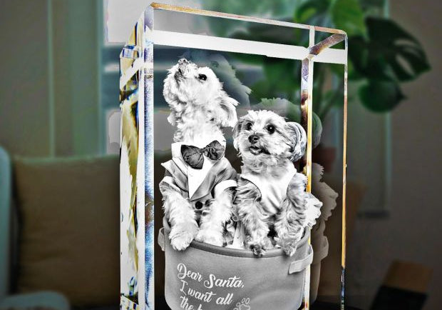 3D Crystal Rectangle Tall 12x8cm 1 to 4 People