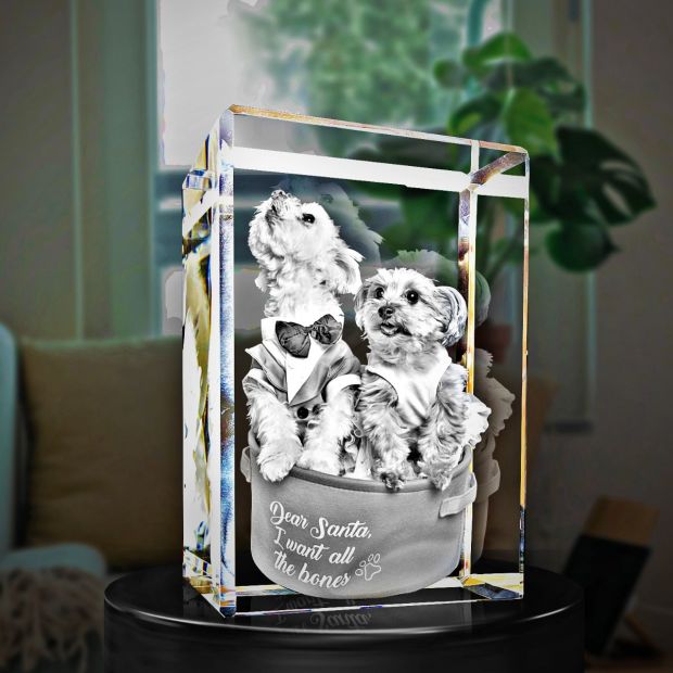 3D Crystal Rectangle Tall 12x8cm 1 to 4 People